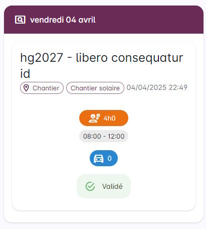 Comment remplir mon carnet - Saisie validée